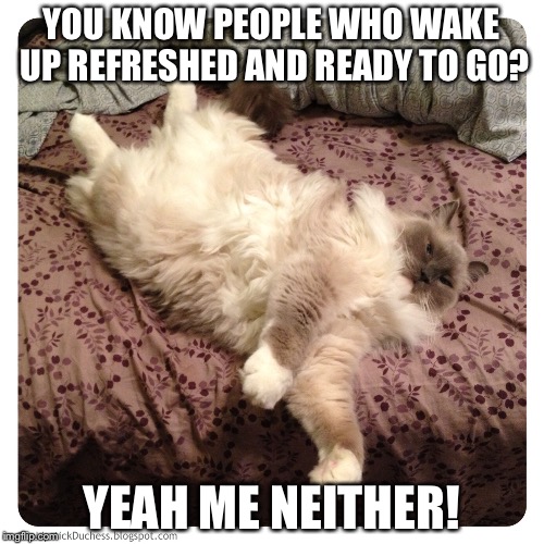 YOU KNOW PEOPLE WHO WAKE UP REFRESHED AND READY TO GO? YEAH ME NEITHER! | image tagged in adhdmeme | made w/ Imgflip meme maker