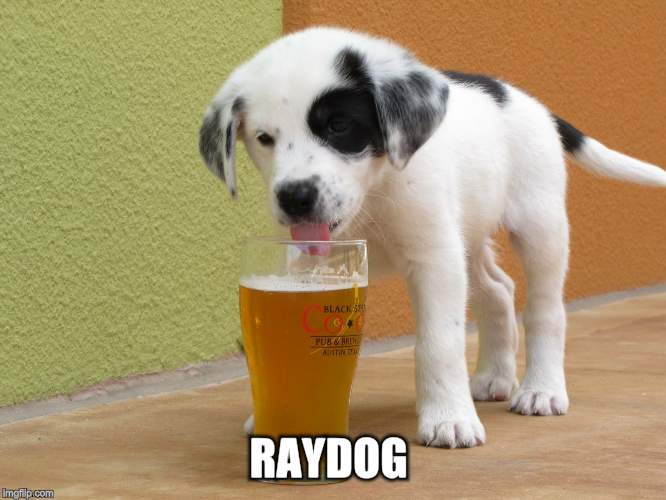 RAYDOG | made w/ Imgflip meme maker