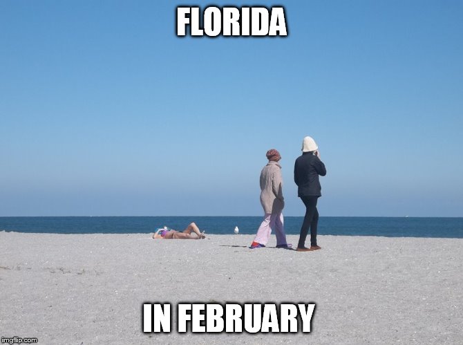 FLORIDA IN FEBRUARY | image tagged in warm/cold day at the beach | made w/ Imgflip meme maker