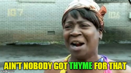 Ain't Nobody Got Time For That Meme | AIN'T NOBODY GOT THYME FOR THAT THYME | image tagged in memes,aint nobody got time for that | made w/ Imgflip meme maker