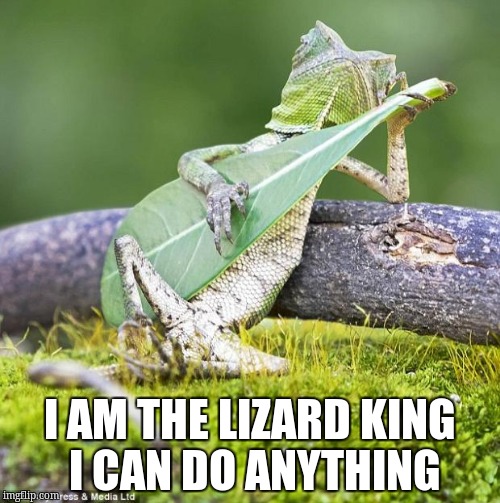 Lizard Music |  I AM THE LIZARD KING I CAN DO ANYTHING | image tagged in lizard music | made w/ Imgflip meme maker