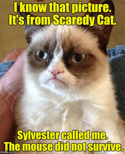 Grumpy Cat Meme | I know that picture. It's from Scaredy Cat. Sylvester called me. The mouse did not survive. | image tagged in memes,grumpy cat | made w/ Imgflip meme maker