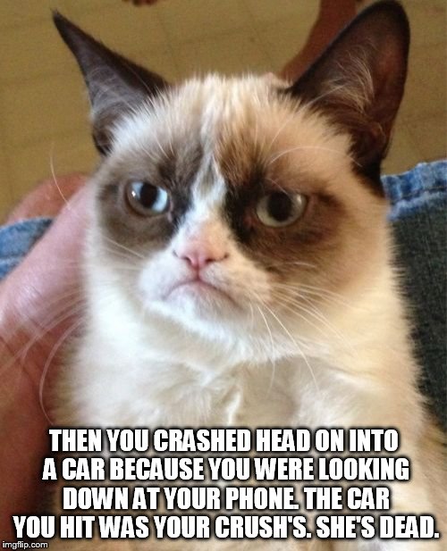 Grumpy Cat Meme | THEN YOU CRASHED HEAD ON INTO A CAR BECAUSE YOU WERE LOOKING DOWN AT YOUR PHONE. THE CAR YOU HIT WAS YOUR CRUSH'S. SHE'S DEAD. | image tagged in memes,grumpy cat | made w/ Imgflip meme maker