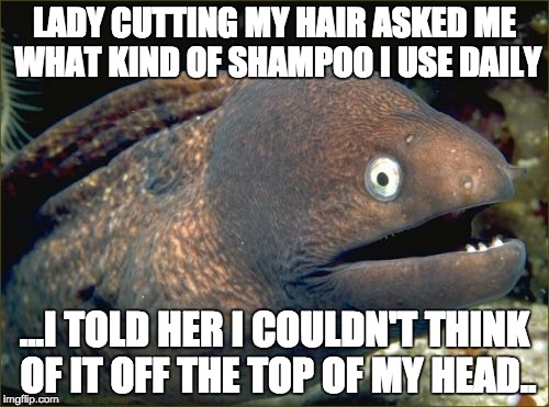 Bad Joke Eel | LADY CUTTING MY HAIR ASKED ME WHAT KIND OF SHAMPOO I USE DAILY; ...I TOLD HER I COULDN'T THINK OF IT OFF THE TOP OF MY HEAD.. | image tagged in memes,bad joke eel,AdviceAnimals | made w/ Imgflip meme maker
