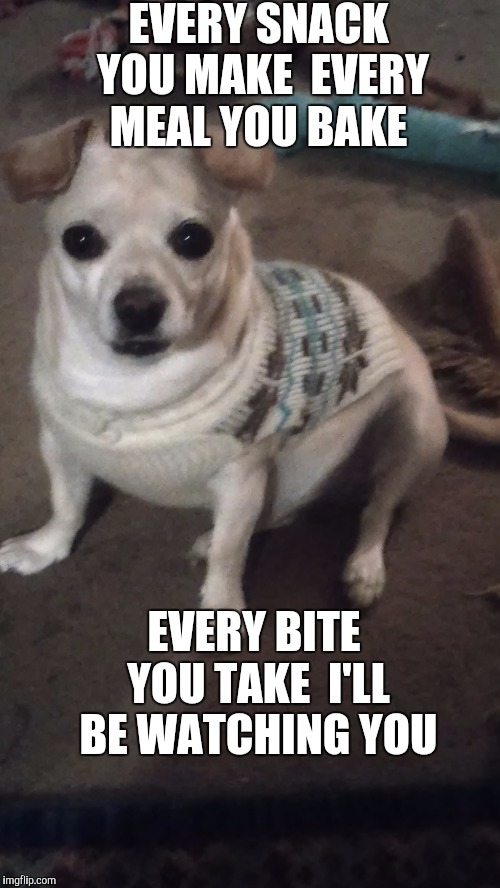 Watching You  | EVERY SNACK YOU MAKE 
EVERY MEAL YOU BAKE; EVERY BITE YOU TAKE 
I'LL BE WATCHING YOU | image tagged in hungry dog | made w/ Imgflip meme maker