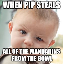 Skeptical Baby | WHEN PIP STEALS; ALL OF THE MANDARINS FROM THE BOWL | image tagged in memes,skeptical baby | made w/ Imgflip meme maker