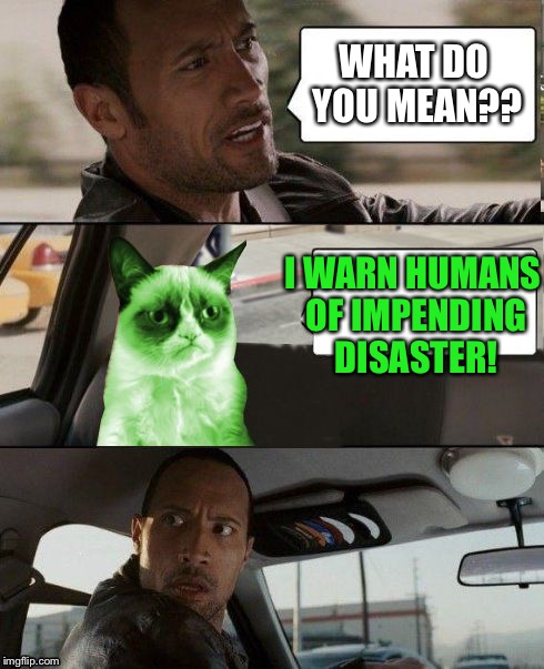 The Rock driving Radioactive Grumpy Cat | WHAT DO YOU MEAN?? I WARN HUMANS OF IMPENDING DISASTER! | image tagged in the rock driving radioactive grumpy cat | made w/ Imgflip meme maker