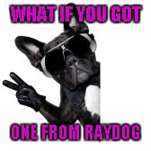 WHAT IF YOU GOT ONE FROM RAYDOG | made w/ Imgflip meme maker