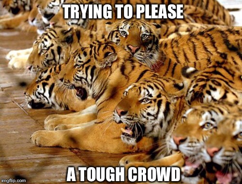 TRYING TO PLEASE A TOUGH CROWD | made w/ Imgflip meme maker