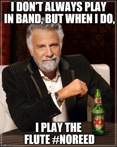 The Most Interesting Man In The World | I DON'T ALWAYS PLAY IN BAND, BUT WHEN I DO, I PLAY THE FLUTE #NOREED | image tagged in memes,the most interesting man in the world | made w/ Imgflip meme maker