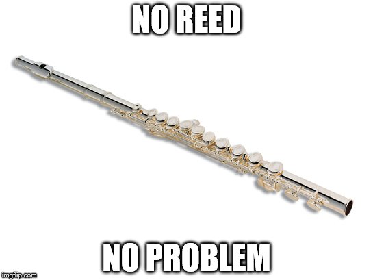 no reed, no problem | NO REED; NO PROBLEM | image tagged in band | made w/ Imgflip meme maker