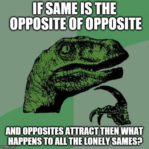 more of the same | IF SAME IS THE OPPOSITE OF OPPOSITE; AND OPPOSITES ATTRACT THEN WHAT HAPPENS TO ALL THE LONELY SAMES? | image tagged in memes,philosoraptor,language | made w/ Imgflip meme maker