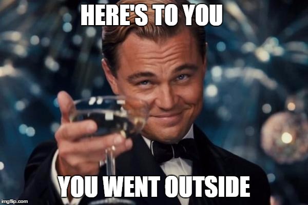 Leonardo Dicaprio Cheers Meme | HERE'S TO YOU; YOU WENT OUTSIDE | image tagged in memes,leonardo dicaprio cheers | made w/ Imgflip meme maker