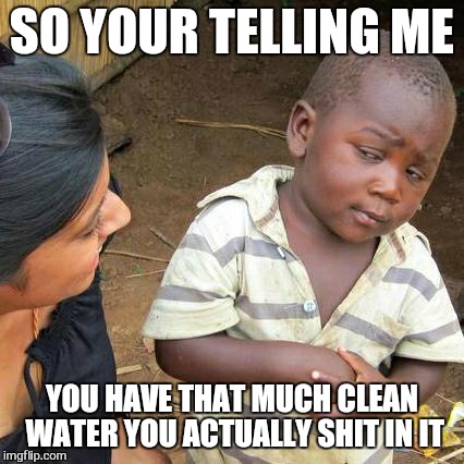 Third World Skeptical Kid Meme | SO YOUR TELLING ME; YOU HAVE THAT MUCH CLEAN WATER YOU ACTUALLY SHIT IN IT | image tagged in memes,third world skeptical kid | made w/ Imgflip meme maker