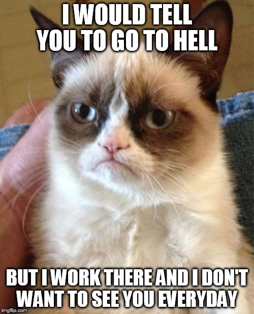 Grumpy Cat Meme | I WOULD TELL YOU TO GO TO HELL; BUT I WORK THERE AND I DON'T WANT TO SEE YOU EVERYDAY | image tagged in memes,grumpy cat | made w/ Imgflip meme maker