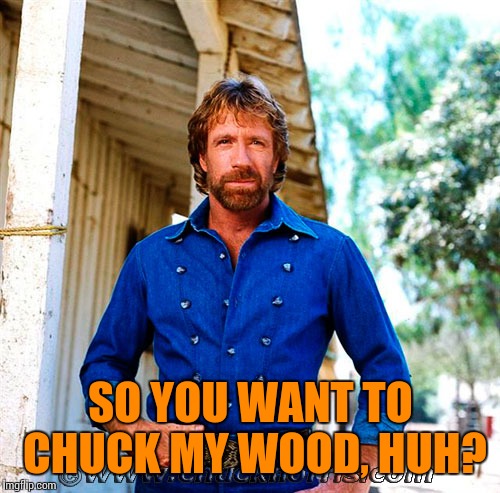 SO YOU WANT TO CHUCK MY WOOD, HUH? | made w/ Imgflip meme maker