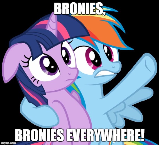 BRONIES, BRONIES EVERYWHERE! | image tagged in ponies,ponies everywhere | made w/ Imgflip meme maker
