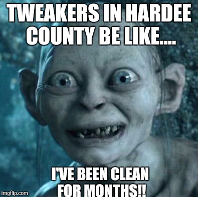 Gollum Meme |  TWEAKERS IN HARDEE COUNTY BE LIKE.... I'VE BEEN CLEAN FOR MONTHS!! | image tagged in memes,gollum | made w/ Imgflip meme maker