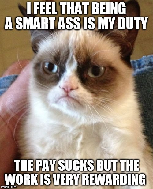 Grumpy Cat Meme |  I FEEL THAT BEING A SMART ASS IS MY DUTY; THE PAY SUCKS BUT THE WORK IS VERY REWARDING | image tagged in memes,grumpy cat | made w/ Imgflip meme maker