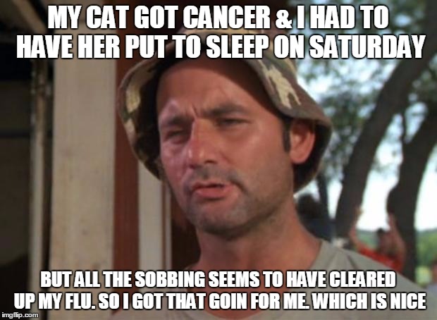 So I Got That Goin For Me Which Is Nice Meme | MY CAT GOT CANCER & I HAD TO HAVE HER PUT TO SLEEP ON SATURDAY; BUT ALL THE SOBBING SEEMS TO HAVE CLEARED UP MY FLU. SO I GOT THAT GOIN FOR ME. WHICH IS NICE | image tagged in memes,so i got that goin for me which is nice,AdviceAnimals | made w/ Imgflip meme maker