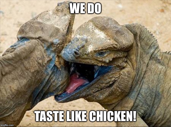 HUNGRY LIZARDS | WE DO; TASTE LIKE CHICKEN! | image tagged in lip locked lizards,kfc | made w/ Imgflip meme maker