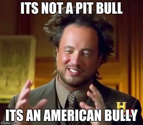 Ancient Aliens | ITS NOT A PIT BULL; ITS AN AMERICAN BULLY | image tagged in memes,ancient aliens | made w/ Imgflip meme maker
