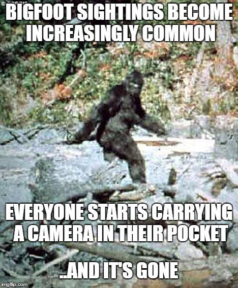 Bigfoot | BIGFOOT SIGHTINGS BECOME INCREASINGLY COMMON; EVERYONE STARTS CARRYING A CAMERA IN THEIR POCKET; ..AND IT'S GONE | image tagged in bigfoot | made w/ Imgflip meme maker