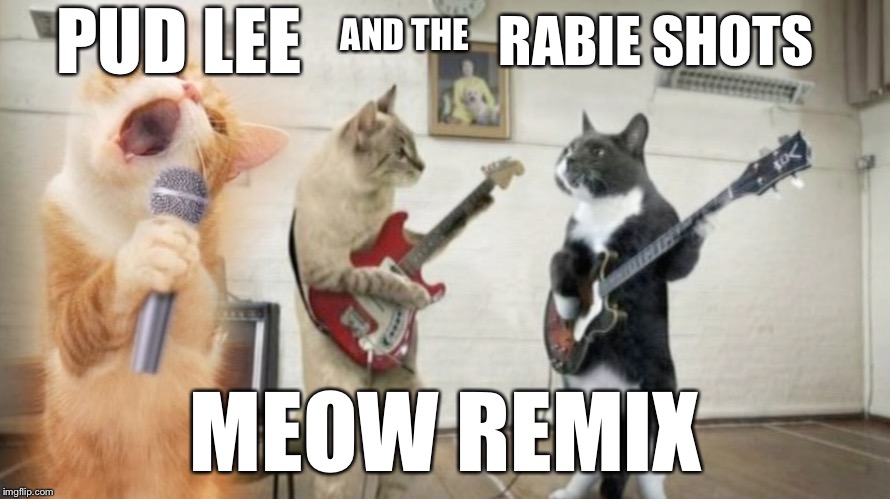 Rod Lee | RABIE SHOTS; PUD LEE; AND THE; MEOW REMIX | image tagged in the most interesting cat in the world | made w/ Imgflip meme maker