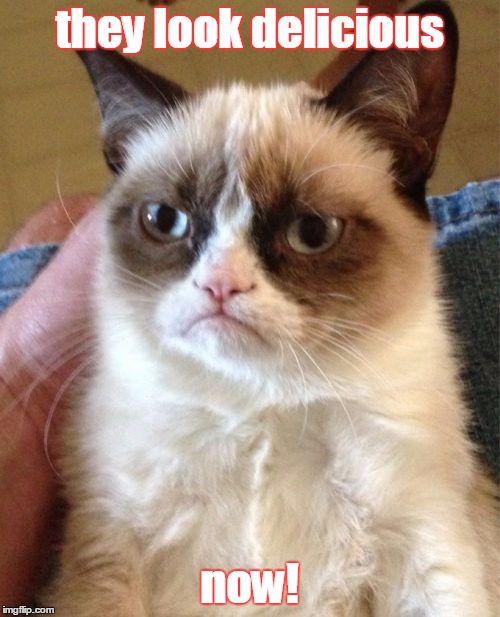 Grumpy Cat Meme | they look delicious now! | image tagged in memes,grumpy cat | made w/ Imgflip meme maker