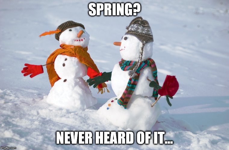 SPRING? NEVER HEARD OF IT... | made w/ Imgflip meme maker