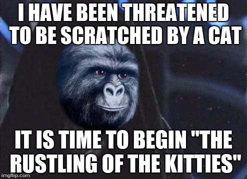 Emperor Rustling | I HAVE BEEN THREATENED TO BE SCRATCHED BY A CAT; IT IS TIME TO BEGIN "THE RUSTLING OF THE KITTIES" | image tagged in emperor rustling,memes,rustle my jimmies | made w/ Imgflip meme maker