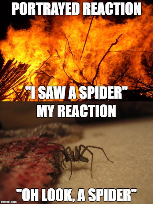 Warning: Contains spiders, not suitable for arachnophobians | PORTRAYED REACTION; "I SAW A SPIDER"; MY REACTION; "OH LOOK, A SPIDER" | image tagged in spider,fire | made w/ Imgflip meme maker