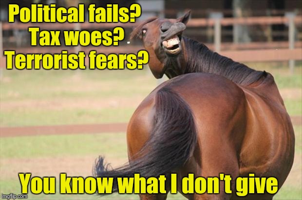 Everyone has a different perspective. | Political fails? Tax woes? Terrorist fears? You know what I don't give | image tagged in funny horse | made w/ Imgflip meme maker