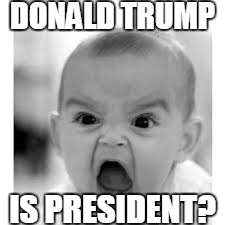 DONALD TRUMP; IS PRESIDENT? | image tagged in donald trump | made w/ Imgflip meme maker