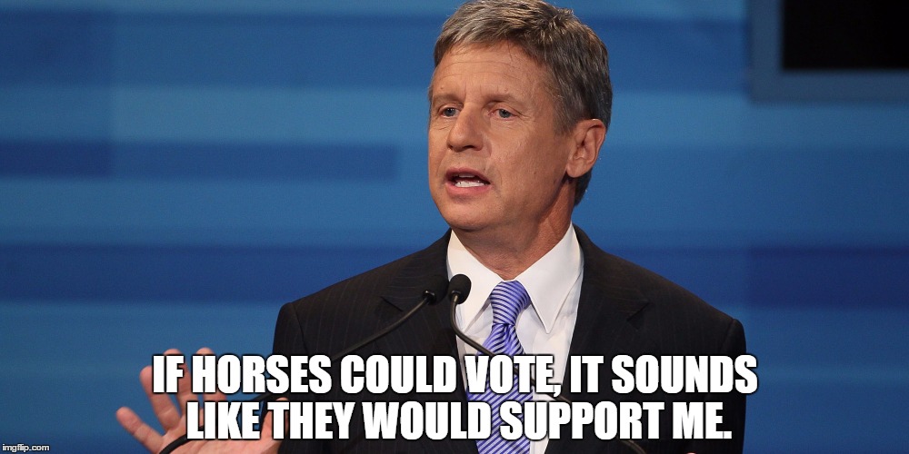 Electable Gary | IF HORSES COULD VOTE, IT SOUNDS LIKE THEY WOULD SUPPORT ME. | image tagged in electable gary | made w/ Imgflip meme maker