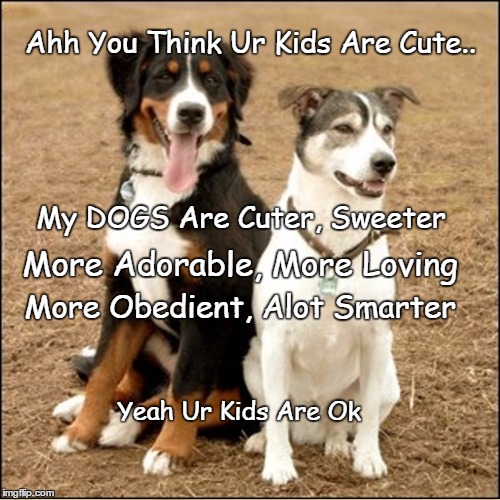 My Dogs Are Cuter | Ahh You Think Ur Kids Are Cute.. My DOGS Are Cuter, Sweeter; More Adorable, More Loving; More Obedient, Alot Smarter; Yeah Ur Kids Are Ok | image tagged in dogs,cute dog,kids,cute baby | made w/ Imgflip meme maker