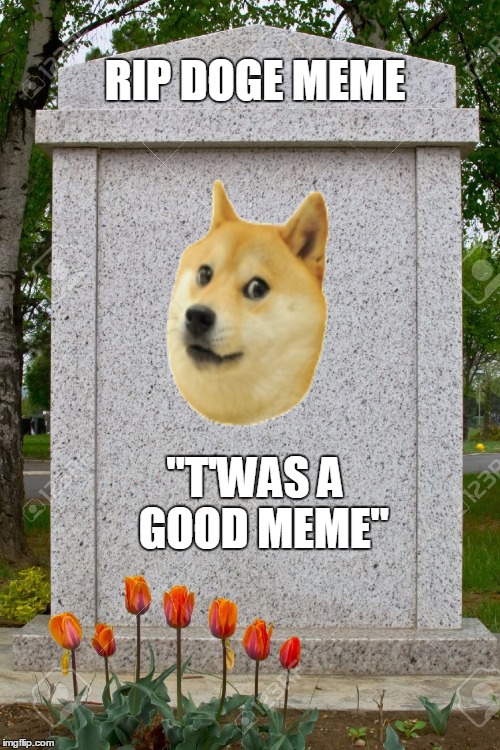 RIP DOGE MEME; "T'WAS A  GOOD MEME" | image tagged in doge,rip | made w/ Imgflip meme maker