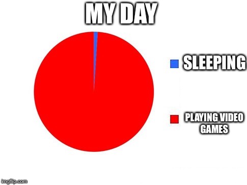 circle graph | MY DAY; SLEEPING; PLAYING VIDEO GAMES | image tagged in circle graph | made w/ Imgflip meme maker
