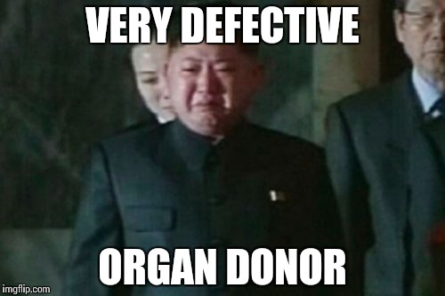 Kim Jong Un Sad | VERY DEFECTIVE; ORGAN DONOR | image tagged in memes,kim jong un sad | made w/ Imgflip meme maker