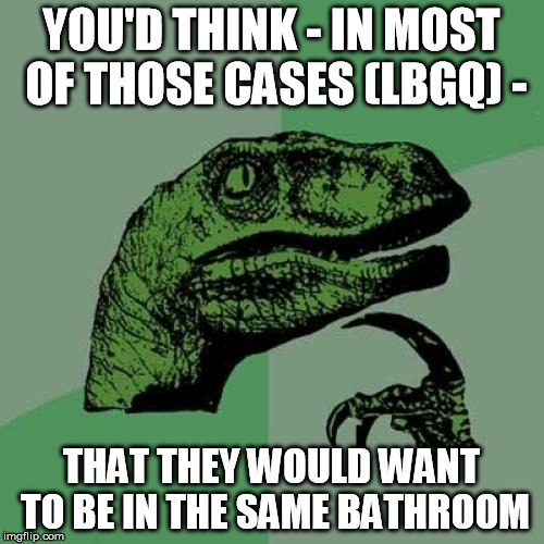 Philosoraptor Meme | YOU'D THINK - IN MOST OF THOSE CASES (LBGQ) - THAT THEY WOULD WANT TO BE IN THE SAME BATHROOM | image tagged in memes,philosoraptor | made w/ Imgflip meme maker