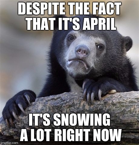 Living in Vermont is very strange, indeed... | DESPITE THE FACT THAT IT'S APRIL; IT'S SNOWING A LOT RIGHT NOW | image tagged in memes,confession bear | made w/ Imgflip meme maker