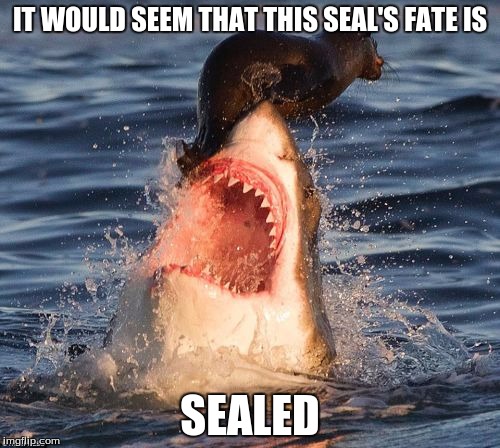 Travelonshark Meme | IT WOULD SEEM THAT THIS SEAL'S FATE IS; SEALED | image tagged in memes,travelonshark | made w/ Imgflip meme maker