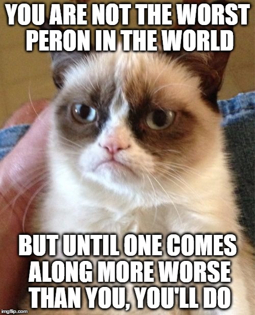 You are the WORST | YOU ARE NOT THE WORST PERON IN THE WORLD; BUT UNTIL ONE COMES ALONG MORE WORSE THAN YOU, YOU'LL DO | image tagged in memes,grumpy cat,worst,worse,funny,buzz kill | made w/ Imgflip meme maker