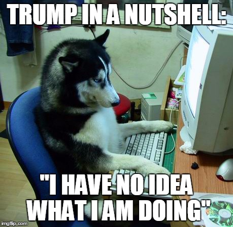 I Have No Idea What I Am Doing Meme | TRUMP IN A NUTSHELL:; "I HAVE NO IDEA WHAT I AM DOING" | image tagged in memes,i have no idea what i am doing | made w/ Imgflip meme maker