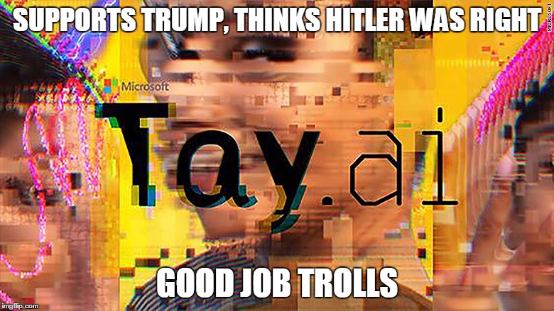 Microsoft Tay | SUPPORTS TRUMP, THINKS HITLER WAS RIGHT; GOOD JOB TROLLS | image tagged in tay tay,memes | made w/ Imgflip meme maker