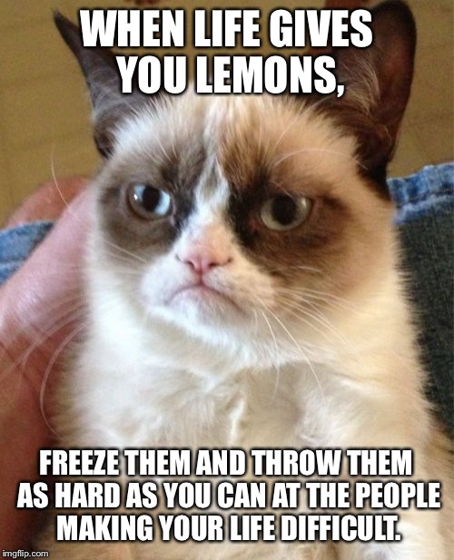 Grumpy Cat | WHEN LIFE GIVES YOU LEMONS, FREEZE THEM AND THROW THEM AS HARD AS YOU CAN AT THE PEOPLE MAKING YOUR LIFE DIFFICULT. | image tagged in memes,grumpy cat | made w/ Imgflip meme maker