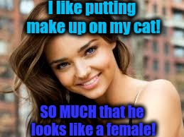 I like putting make up on my cat! SO MUCH that he looks like a female! | image tagged in cat | made w/ Imgflip meme maker