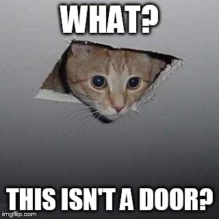 Ceiling Cat | WHAT? THIS ISN'T A DOOR? | image tagged in memes,ceiling cat | made w/ Imgflip meme maker