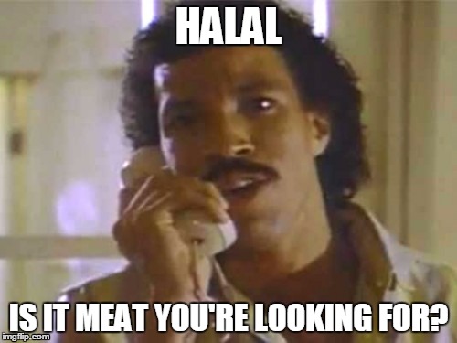 halal | HALAL; IS IT MEAT YOU'RE LOOKING FOR? | image tagged in lionel richie | made w/ Imgflip meme maker