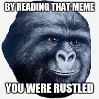 BY READING THAT MEME YOU WERE RUSTLED | image tagged in there is no need to be upset | made w/ Imgflip meme maker